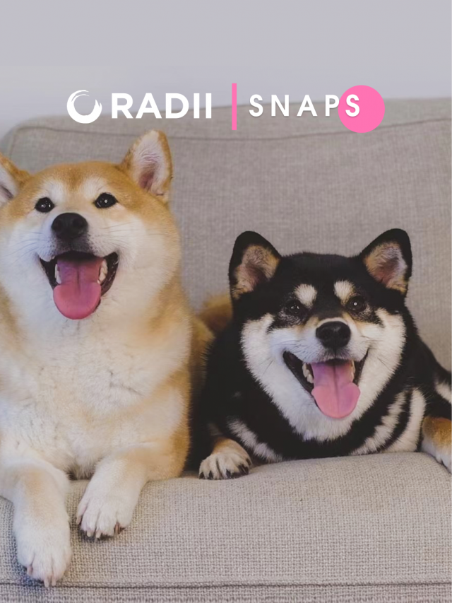 SHIBA poster