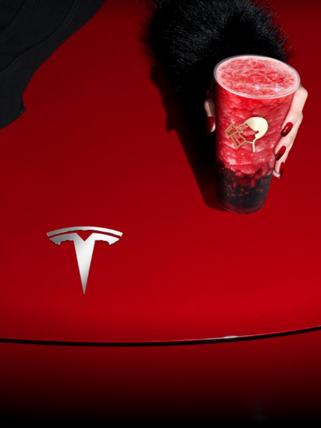 tesla 10