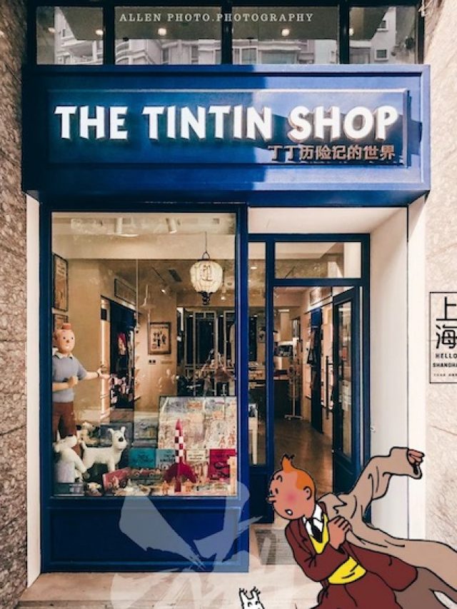 tintin 5
